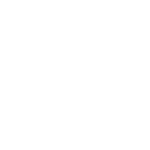 VfL Wolfsburg